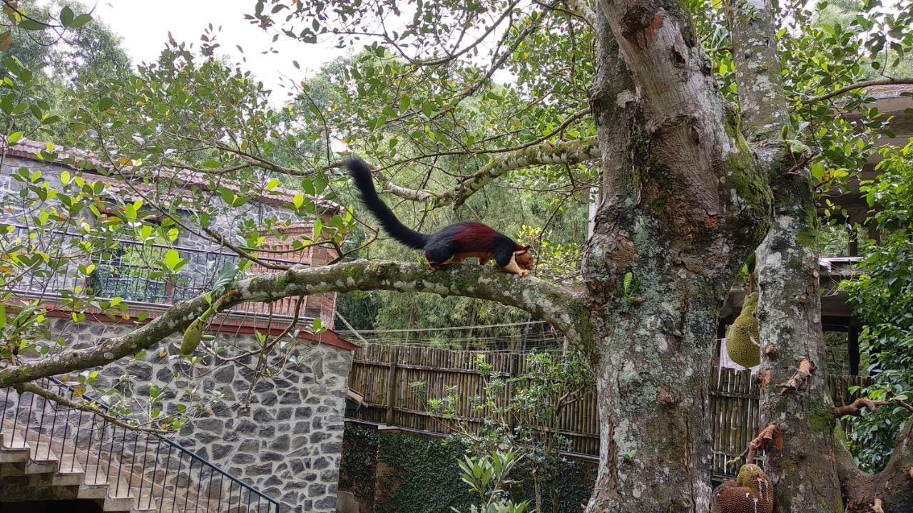 Wildernest Bed & Breakfast Thekkady Exterior photo