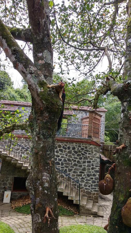 Wildernest Bed & Breakfast Thekkady Exterior photo